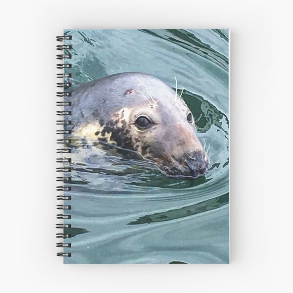 Item preview, Grey Seal  designed and sold by Galagowarp.