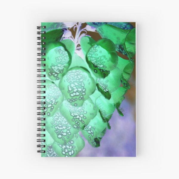 Aperçu de l'œuvre Fleur exotique créée et vendue par PhrozenPhotos.