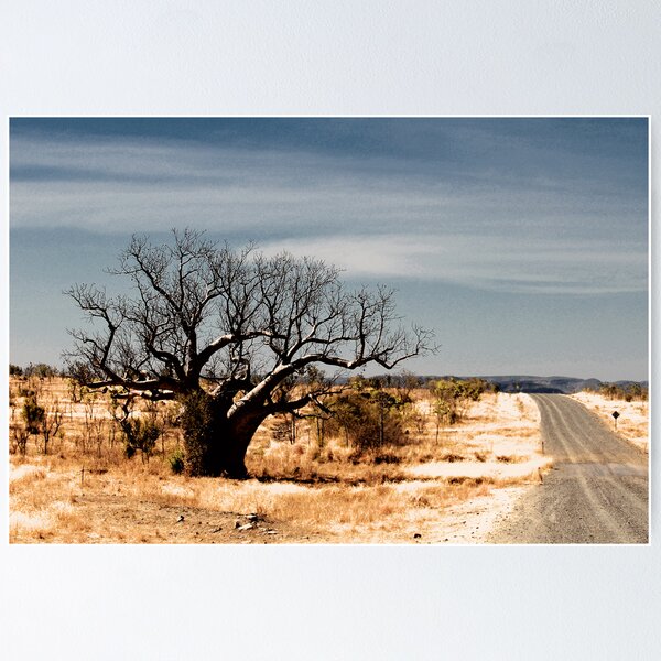 Item preview, Boab on the Gibb River Road  designed and sold by Stephen Colquitt.