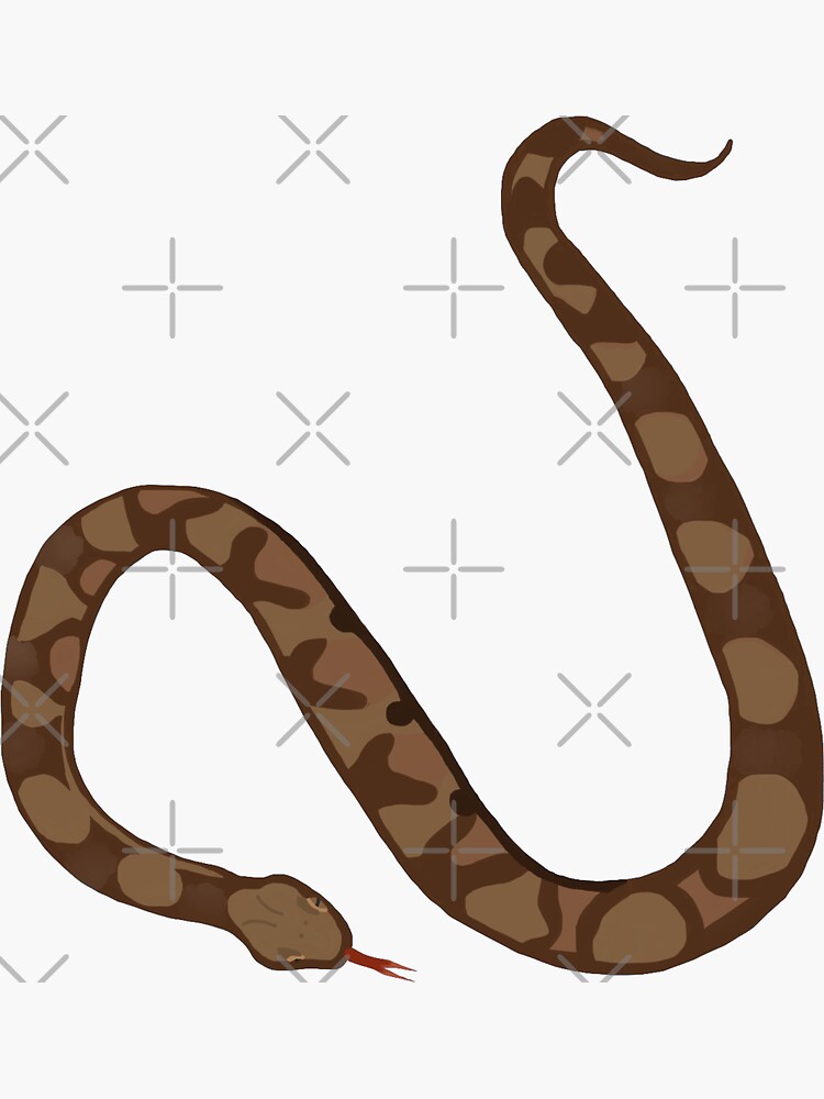 copperhead snake sketch