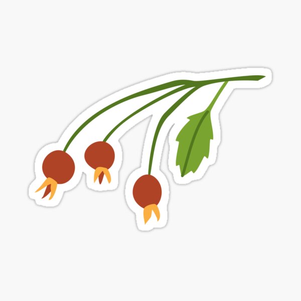 Rose Hips Sticker