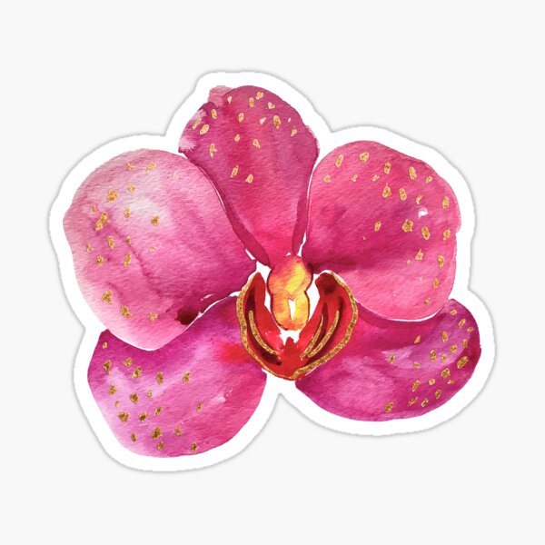 Orchid Stickers Redbubble