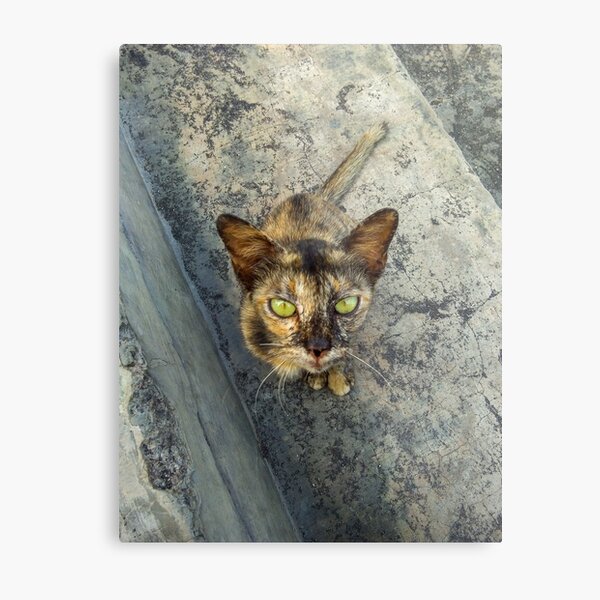 Item preview, Staring Contest designed and sold by shaliamccall.