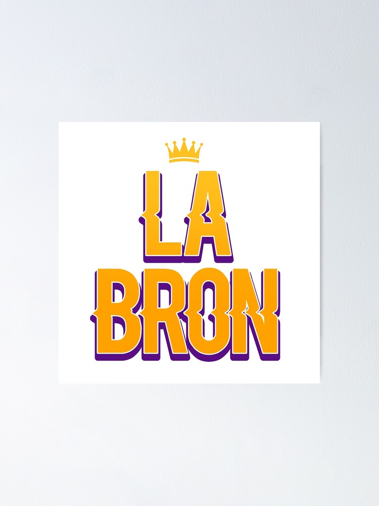 lebron logo shirt