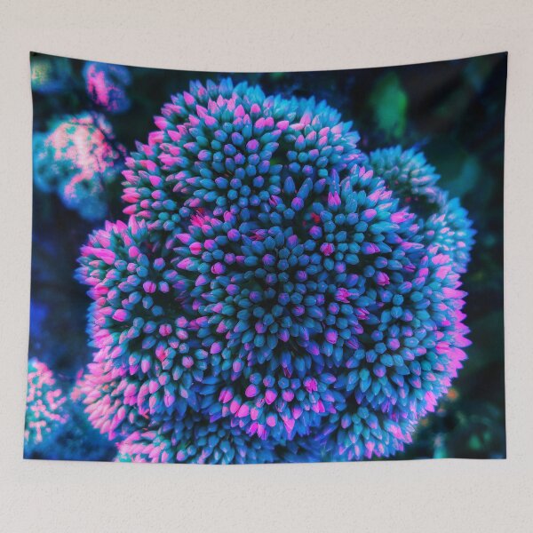 Item preview, Pink-Tipped Sedum designed and sold by The Rage Garden.