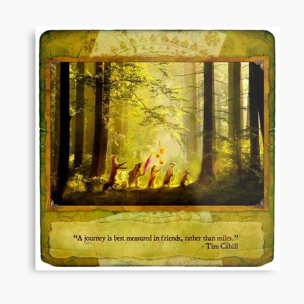 2010 Foxfires Calendar - August Metal Print