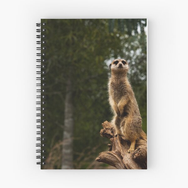 Item preview, Meerkat designed and sold by Robert J Smith.