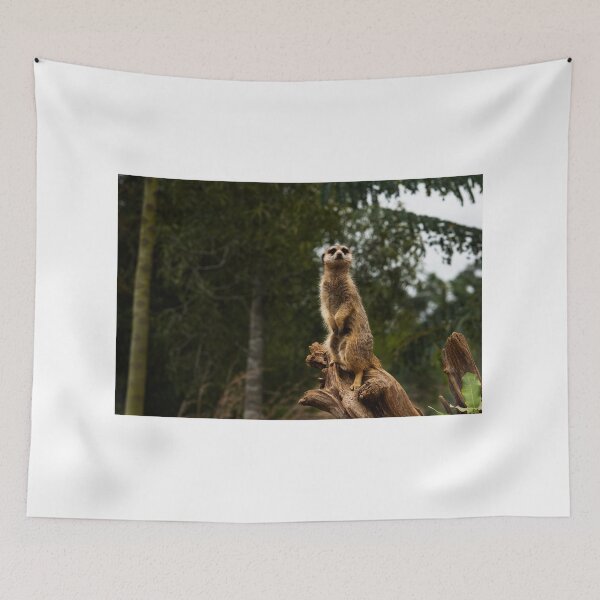 Item preview, Meerkat designed and sold by Robert J Smith.