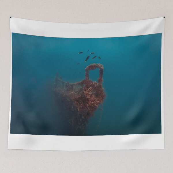 Item preview, HMAS Brisbane Artifical Reef designed and sold by Robert J Smith.