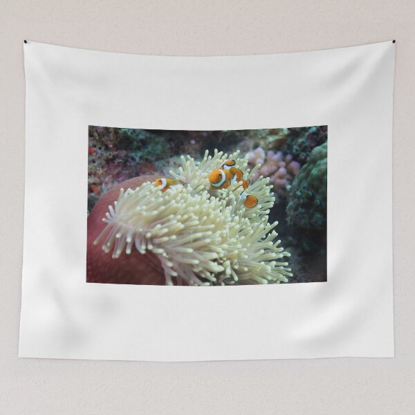 Item preview, Found Nemo designed and sold by Robert J Smith.