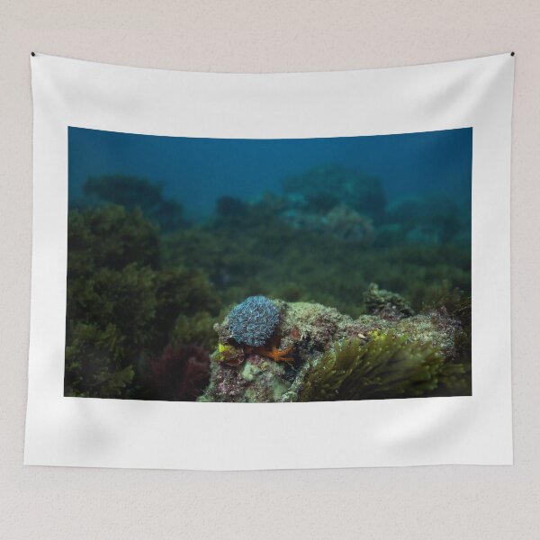 Item preview, Coral  Garden designed and sold by Robert J Smith.