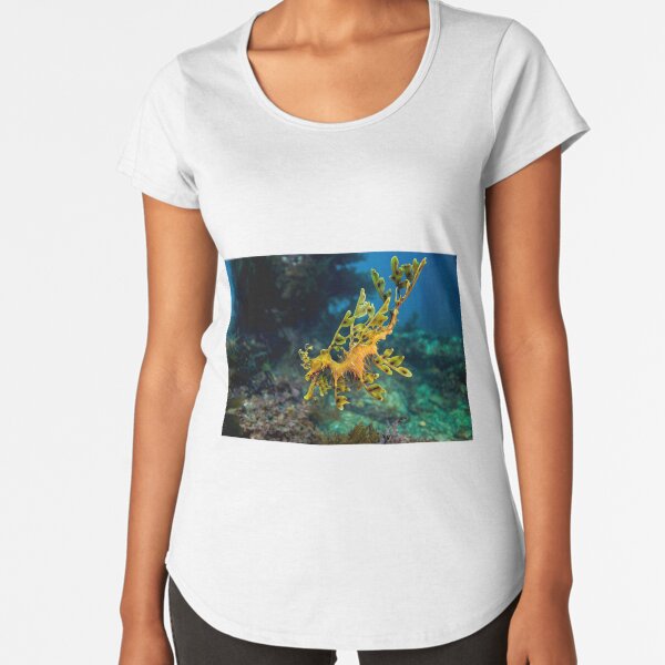 Leafy Dragon Premium Scoop T-Shirt
