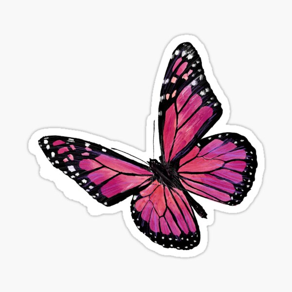 Butterfly Pink Aesthetic Sticker