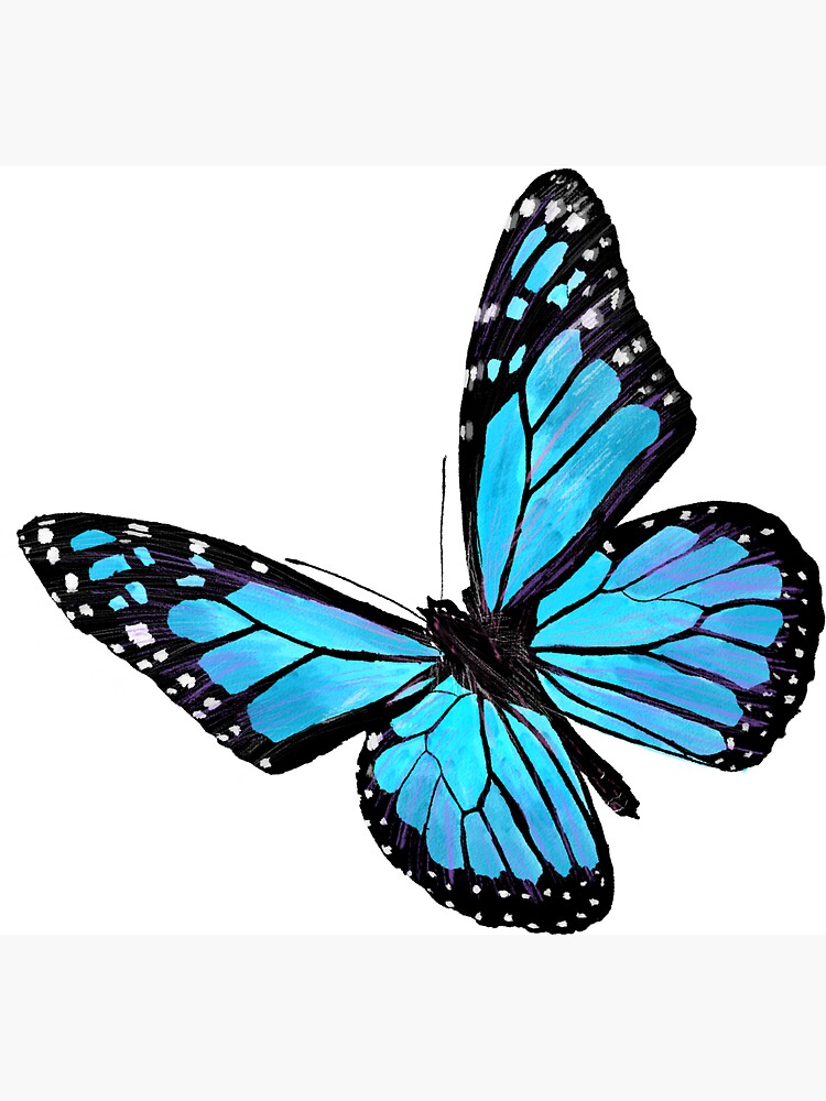 Imán «Mariposa azul claro» de VikiKL | Redbubble