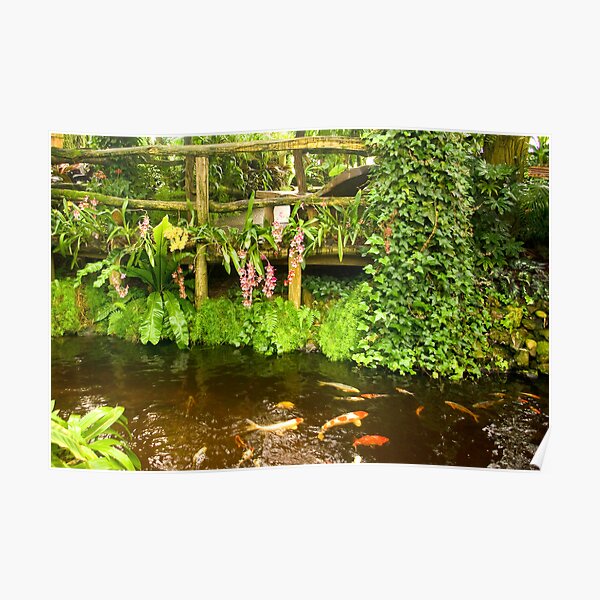 Tropical Island pond Poster