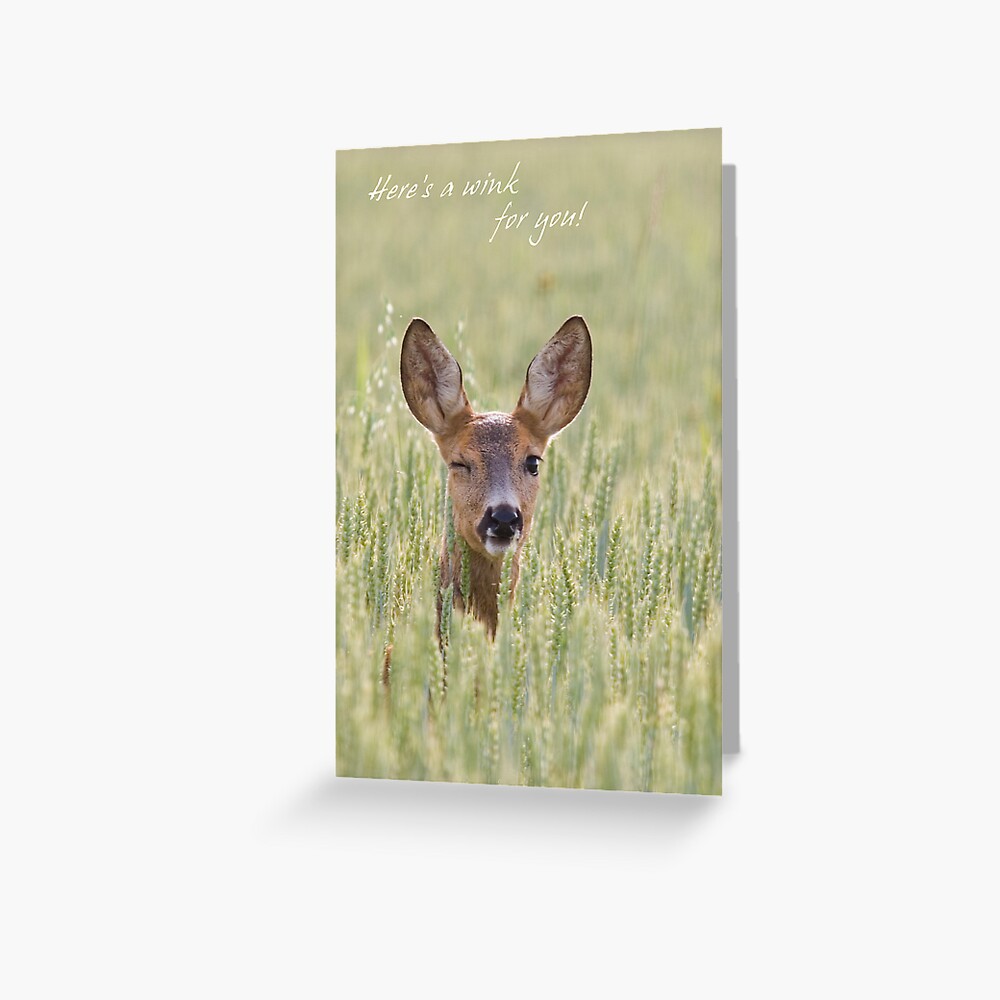 Here's a wink for you Greeting Card