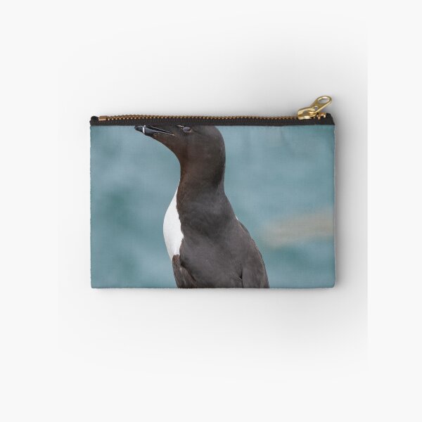 Item preview, Razorbill (Alca torda) seabird nesting on cliff edge. designed and sold by JPopov.