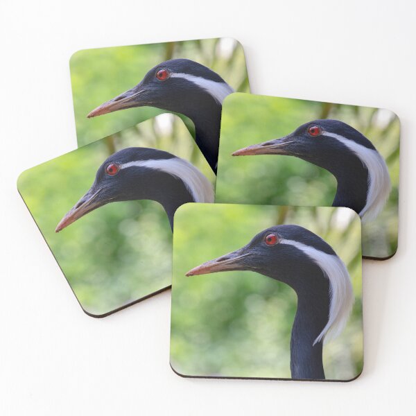 Item preview, Demoiselle Crane Portrait designed and sold by MarkUK97.