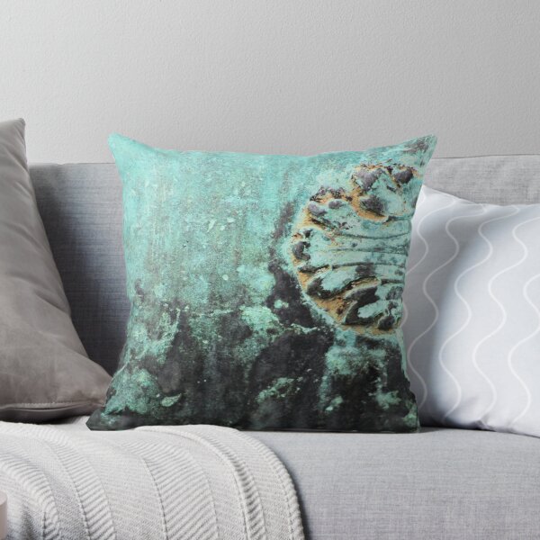 Shipwrecked in copper Throw Pillow