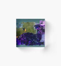 .. alone at the lake Acrylic Block