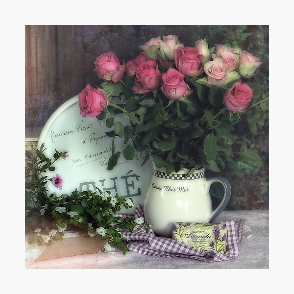 Old roses Photographic Print