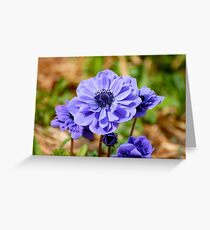 Purple Flower Greeting Card