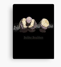 Bolder Boulders Canvas Print