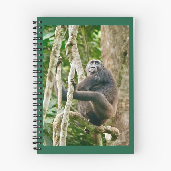 Item preview, Wild Western Lowland female gorilla  designed and sold by Sheila Smith.