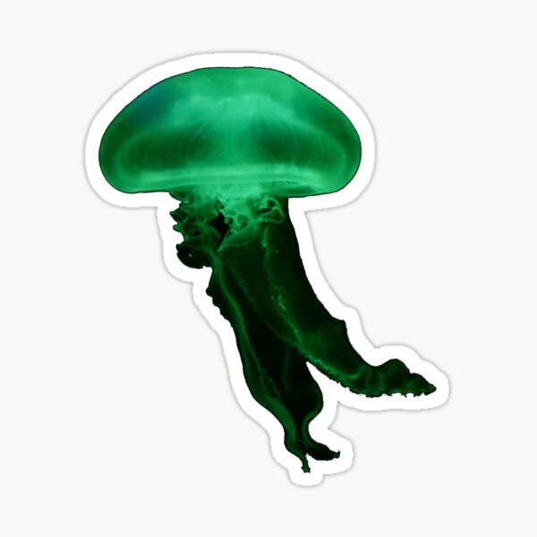 Item preview, Green Jellyfish designed and sold by betn4y.