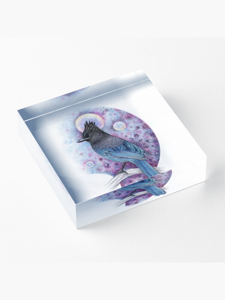 Alternate view of Stellar Jay Acrylic Block