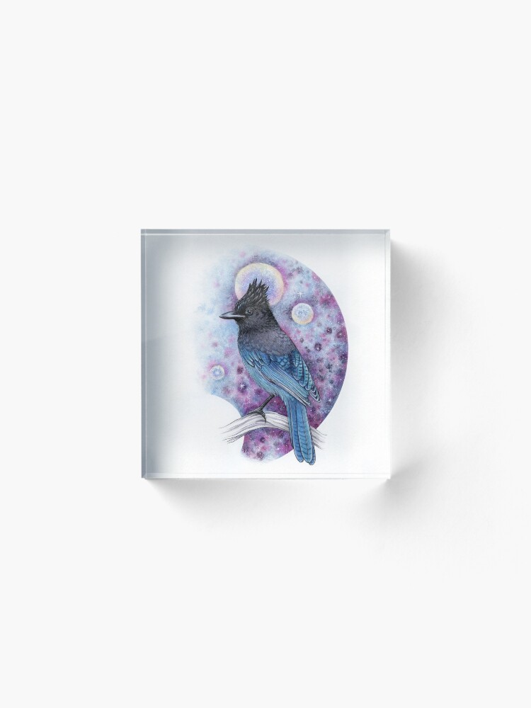 Alternate view of Stellar Jay Acrylic Block