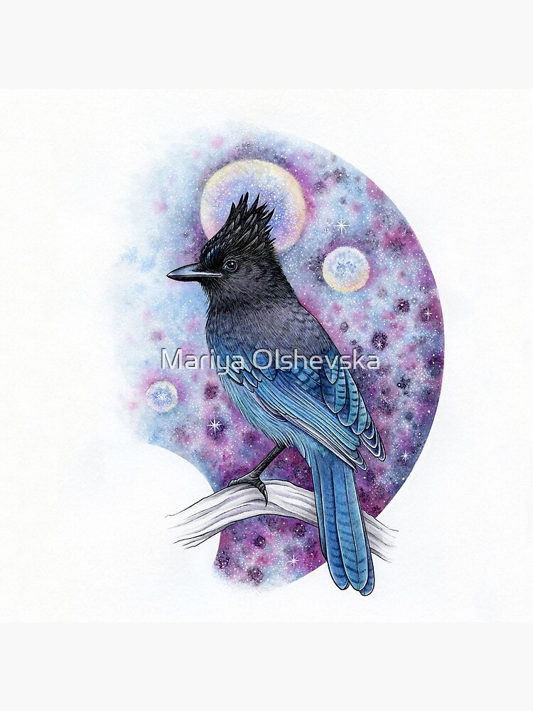 Stellar Jay by OzureFlame