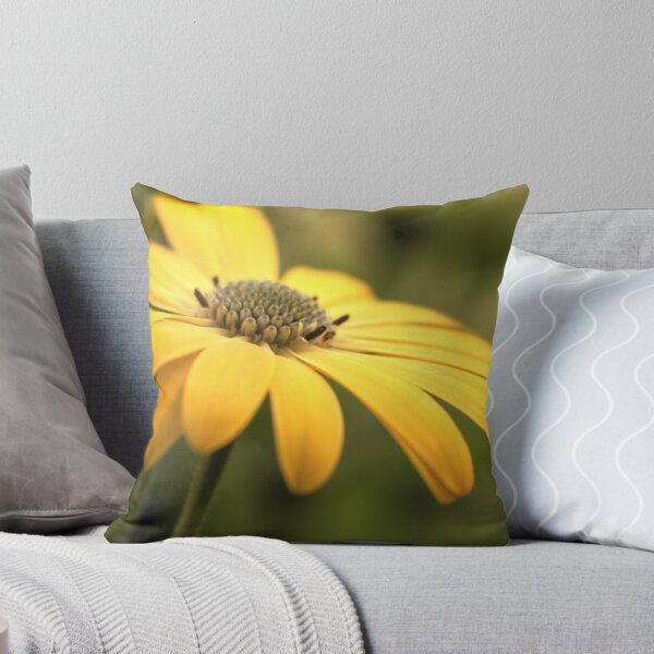Aperçu de l'œuvre Osteospermum Sunny Asti créée et vendue par axp7884.