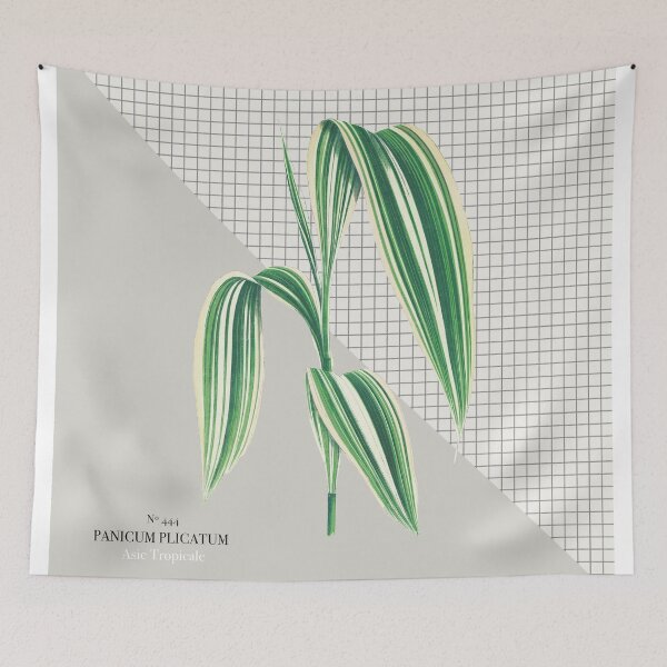 Item preview, Panicum Plicatum designed and sold by monpetitbambino.