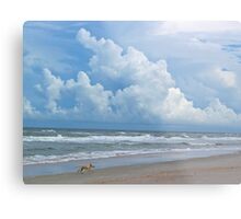 "A dog's life on Ponte Vedra Beach" by Caren | Redbubble