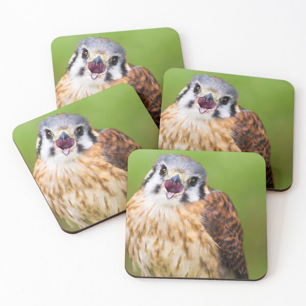 Item preview, Killi the American Kestrel designed and sold by CasualGoshawk.