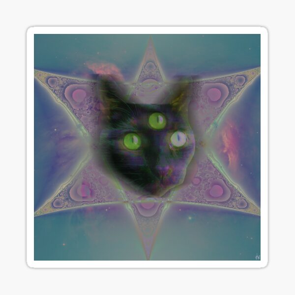 Third Eye Psychic Cat Journal – moonlitbeading