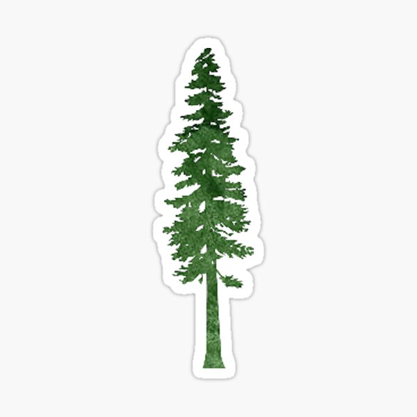 redwood tree Sticker