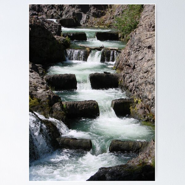 FALLING WATER Poster