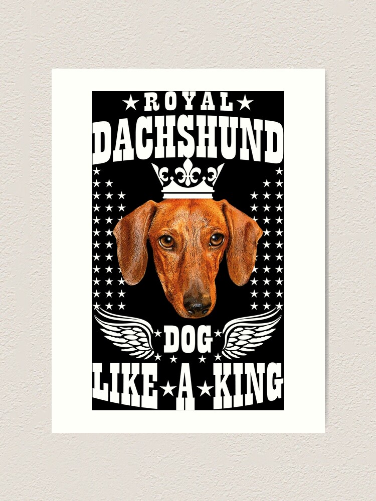 royal dachshund