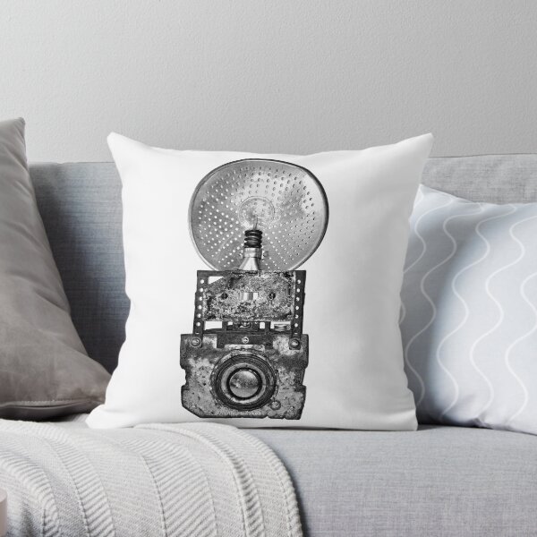 The Brownie Camera Throw Pillow