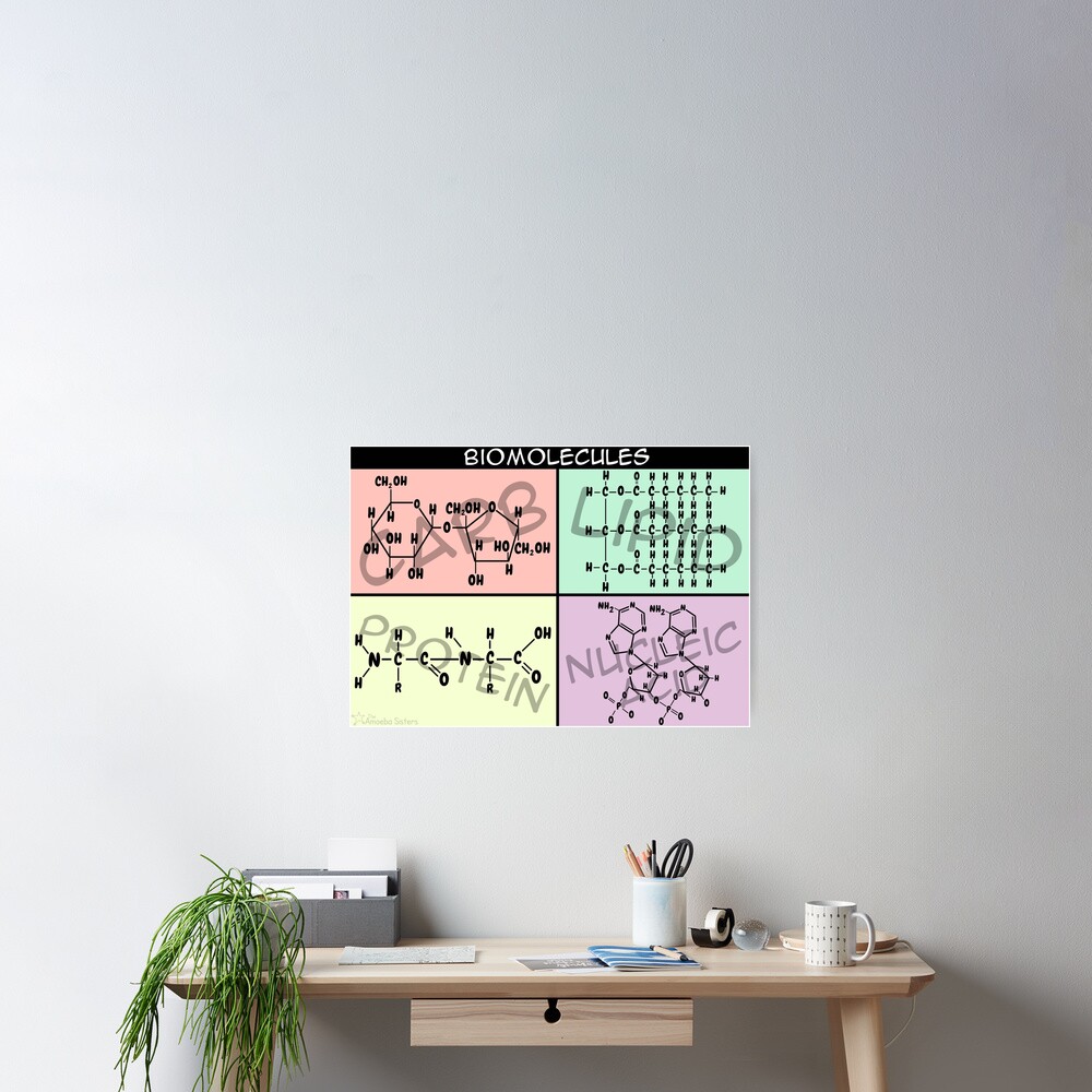 Biomolecule Structure Poster Poster