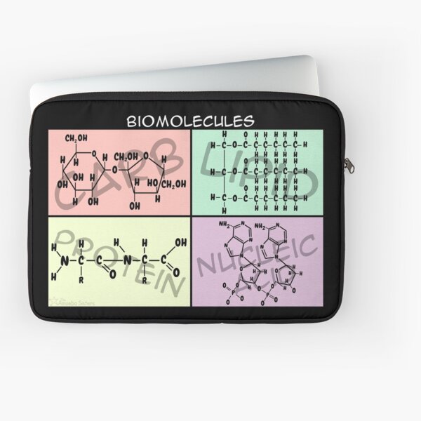 Biomolecule Structure Poster Laptop Sleeve