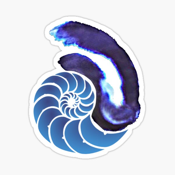 Nautilus Shell Gifts Merchandise Redbubble