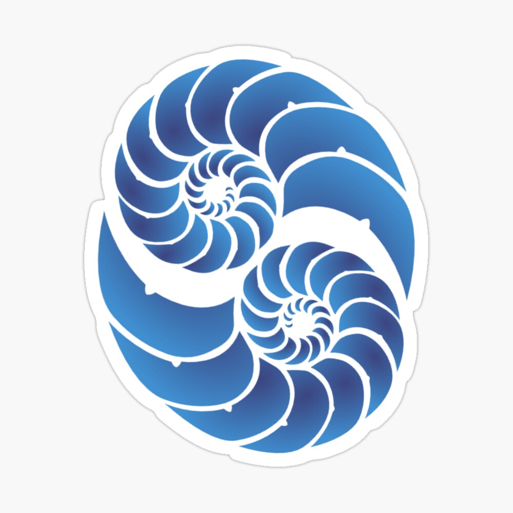 Twin Nautilus Shells Poster By Laroach Redbubble