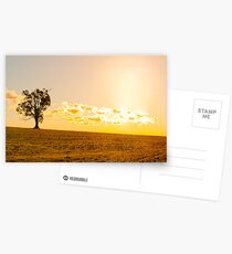 The Warlu Postcards