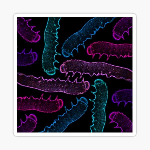 Neon Caterpillar pattern Sticker