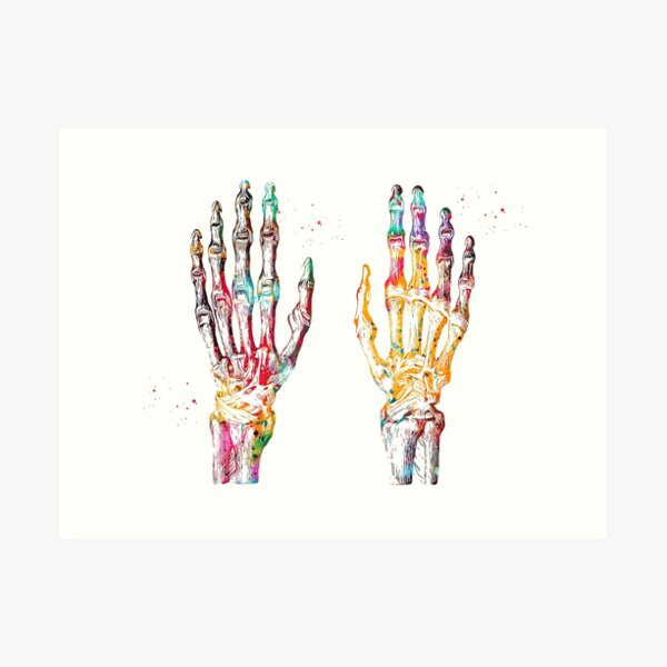 Hand Muscles Art Print
