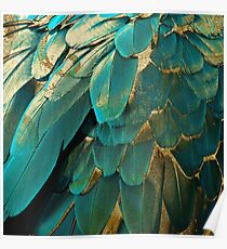 Feather Glitter Teal and Gold Poster