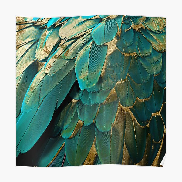 Feather Glitter Teal and Gold Poster